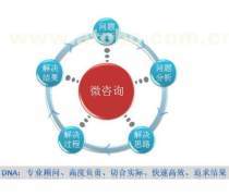 企業(yè)管理信息咨詢服務(wù) 驅(qū)動(dòng)企業(yè)可持續(xù)發(fā)展的關(guān)鍵力量